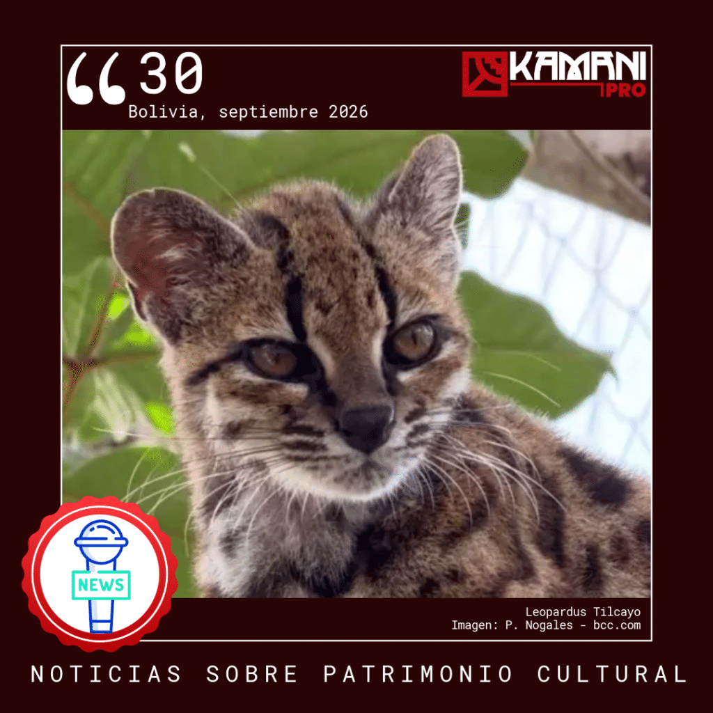 Boletín de Patrimonio Cultural 30